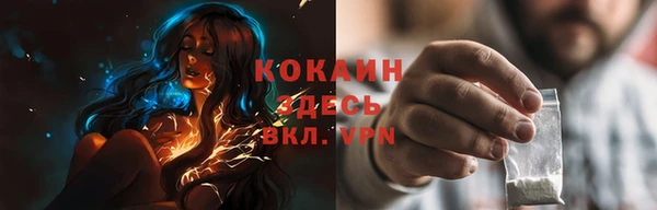 гашик Кулебаки