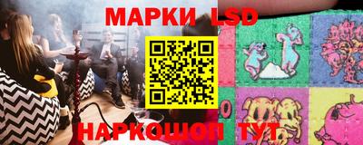 прущие грибы Краснокаменск