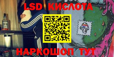 прущие грибы Краснокаменск