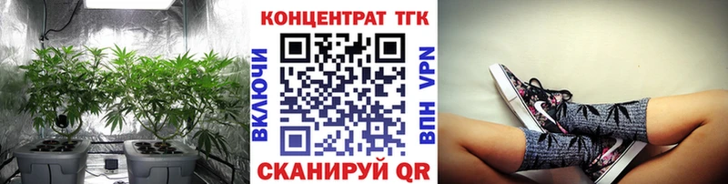 где найти   Арзамас  ТГК THC oil 