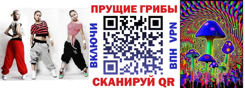 Псилоцибиновые грибы Psilocybe Арзамас